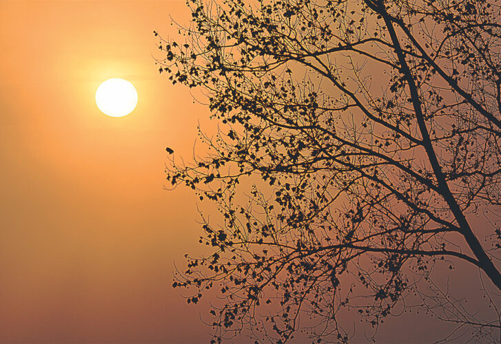 Foggy morning